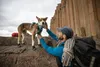Ruffwear Grip Trex™ Hundeschuhe Produktbild-Vorschau 4