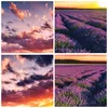 Gerahmtes Poster - Weißer Rahmen - Lavendel Berge Feld - Produktbild-Vorschau 9