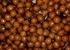 Tandem Baits Carp Food Perfection Mini Oil Hookers Hummer & Produktbild-Vorschau 7