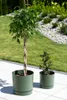 Prosperplast s.r.o. Pot de fleurs TUBO P 33,8 cm, blanc Voir les images du produit 11