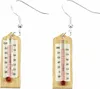 Thermometer Ohrringe Miniblings Hänger Sommer Wetter Arzt Produktbild-Vorschau 1