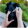 A person is applying a topical medication to a dog's fur. Produktbild-Vorschau
