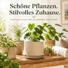 Pflanztopfuntersetzer Mira Taupe Ø 34cm - Frostsicher & Produktbild-Vorschau 4