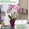 MePla - 2 Stück - Orchideenübertopf Dreieck ø 14 Pflaume + Produktbild-Vorschau 3