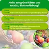Purgrün -Obstdünger 1 kg, Produktbild-Vorschau 3