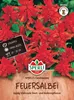 SPERLI Feuersalbei Samen Carabiniere Salvia splendens 60 Produktbild-Vorschau 1