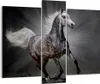 Bild auf Leinwand - Leinwandbild - Pferd Tier Natur - Produktbild-Vorschau 1