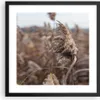 Gerahmtes Poster - Schwarzer Rahmen - Boho Ähren Gras - Produktbild-Vorschau 1