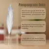 LAYBA Künstliches Pampasgras 3er-Set Weiß 100 cm, 18 Produktbild-Vorschau 5