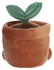 Aurora Palm Pals, kamerplant in pot, 13 cm, decoratieve Productafbeelding-voorbeeld 4