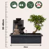 Bonsaibaume - Bonsai - Höhe 25-35cm - ⌀29cm Produktbild-Vorschau 2