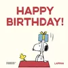 Peanuts Geschenkbuch: Happy Birthday! Náhľad obrázku produktu 2