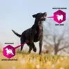 Eukanuba 8710255119595, Dorosły, 2,3 kg Podgląd zdjęcia produktu 4