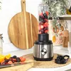 4-in-1 Entsafter Mixer, 1 L Kanne, 2 Geschwindigkeiten, Edelstahlmesser Voir les images du produit