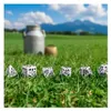 Jeu de dés sur le thème des vaches : MOOzilla Voir les images du produit 3