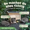 Igelhaus Igelhütte Holz zooprinz Hugo | mit Labyrinth Produktbild-Vorschau 6