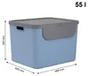 Rotho Mülltrennsystem 55L Albula - Mülleimer mit Produktbild-Vorschau 4