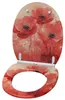 SANILO® WC-bril met zachte sluiting en snelsluiting, model Productafbeelding-voorbeeld 3