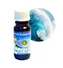Duftöl Meeresbrise 10 ml Produktbild-Vorschau 1