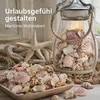 Muscheln und Schneckenhäuser 1 kg ca. 4-7 cm Muschelmix Produktbild-Vorschau 7