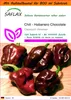 SAFLAX - Garden in the Bag - Chili - Habanero Chocolate - Produktbild-Vorschau 1