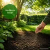 RSM-Rasensamen 2.3 mit Poa Supina 1kg für 40m², Produktbild-Vorschau 2