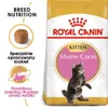 Royal Canin Feline Kitten Maine Coon 36 4kg Anteprima dell’immagine prodotto 13