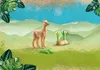 Play Jungle Alpaca 71064 Voir les images du produit 16