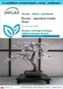 SAFLAX - Zestaw prezentowy - Bonsai - Japońskie Kwiaty Podgląd zdjęcia produktu 1