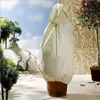 Zimní ochrana Ochrana rostlin proti mrazu Palmy 180x120cm Náhled obrázku produktu 1