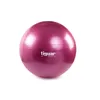 tiguar body ball safety plus 65 cm - prugna Anteprima dell’immagine prodotto 1