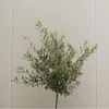 A potted olive tree against a textured wall. Produktbild-Vorschau