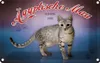 vianmo Blechschild 20x30 cm Katze Ägyptische Mau Schweiz Produktbild-Vorschau 1