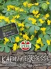 SPERLI Kapuzinerkressesamen Goldranke Tropaeolum peregrinum Produktbild-Vorschau 2