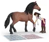 Schleich 42787 HORSE CLUB - Clinica equina "Zoccoli che Anteprima dell’immagine prodotto 3