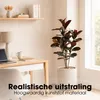 Mica Decorations Rubberplant – Kunstplant in Pot – Productafbeelding-voorbeeld 6