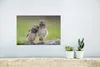 MuchoWow® Poster Ein Eulenpaar auf einem Baumstamm 30x20 cm Produktbild-Vorschau 5