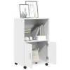 A white roll cabinet with two shelves and two doors, placed on a white background. The top shelf displays books and decorative items, while the bottom shelf contains a woven basket. The cabinet has wheels. Voir les images du produit