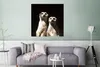 MuchoWow® Poster Schwarz - Erdmännchen - Tiere 75x75 cm - Produktbild-Vorschau 5