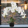 Künstliche Blumen Orchidee Orchideen Pflanzen Kunstpflanze Produktbild-Vorschau 2