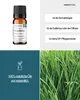 Palmarosa (10ml) - naturreines, ätherisches Öl von Produktbild-Vorschau 2