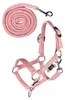 HKM Kids Halfter und Strick Hobby Horsing Basic Rosa Anteprima dell’immagine prodotto 1