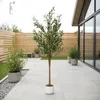 Künstlicher Olivenbaum 160 cm – Realistische Kunstpflanze – Produktbild-Vorschau 5