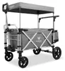 FUXLIFE by FUXTEC Bollerwagen FX-CTL900 Premium Grau - Produktbild-Vorschau 2
