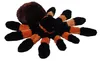 A plush toy tarantula is shown against a white background. Produktbild-Vorschau