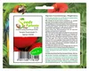 9x Tomate Supersteak F1 - Alte Sorten Samen Gemüse KS596 Produktbild-Vorschau 1