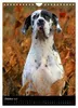 Faszination Deutsche Dogge (Wandkalender 2027 DIN A4 hoch), Produktbild-Vorschau 13