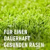 Compo Rasendünger gegen Unkraut + Moos 6 kg Nachfolger Produktbild-Vorschau 12