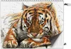 Tiger – Magnetische Heizkörperabdeckung – 80x60 cm – Magnet Produktbild-Vorschau 4