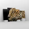 Bild auf Leinwand - Leinwandbild - Tiere Leopard wilde Produktbild-Vorschau 4